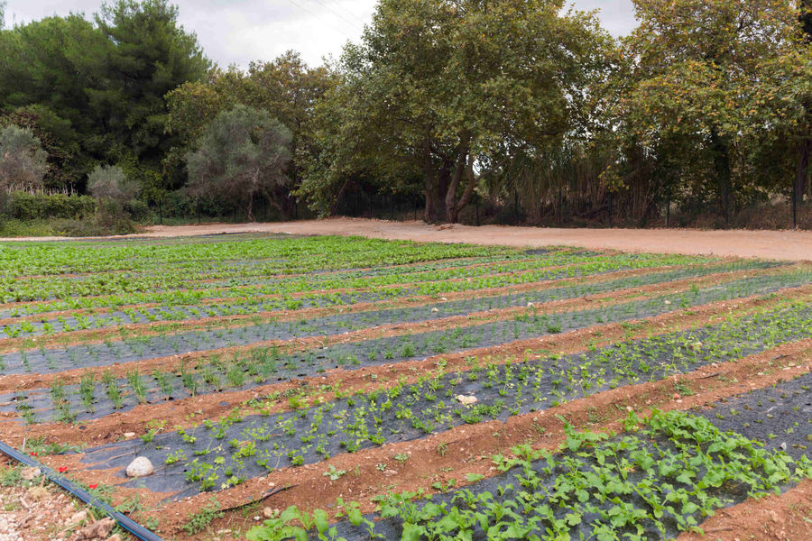 h305Gxj4_0082-Efzin-scaled (1).jpg